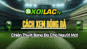 cách xem bóng đá cho người mới: chiến thuật bóng đá